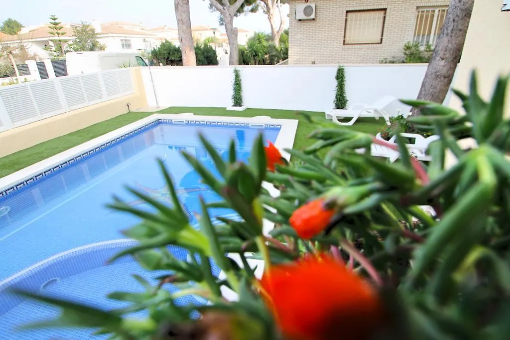 Arenda Villa Amelie En Pino Alto Miami Playa 0*,